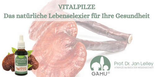 Vitalpilze